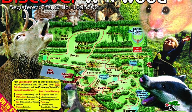 Wildwood - Animal Collection / Zoo in Herne Bay, Canterbury - Visit ...