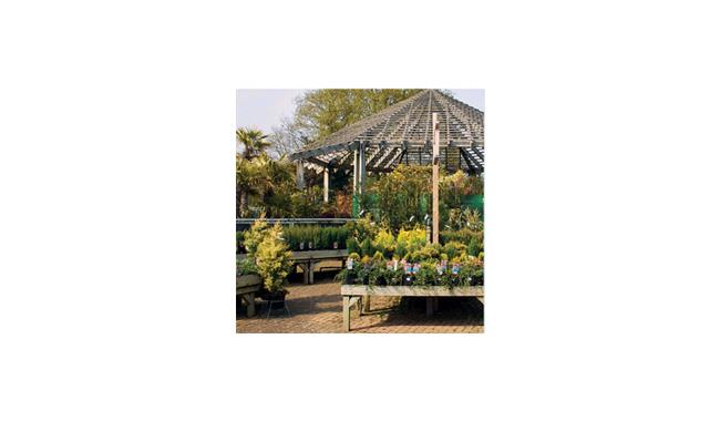 Image Result For Garden Centre Hassocks