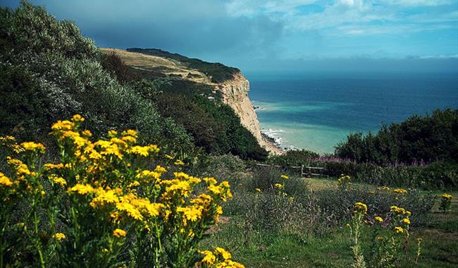 Hastings Country Park Nature Reserve - Natural Feature in Hastings ...